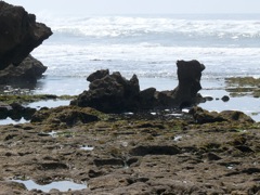 P1080892