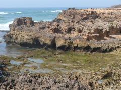 P1080915