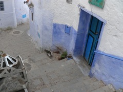 P1080994