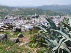 P1090025