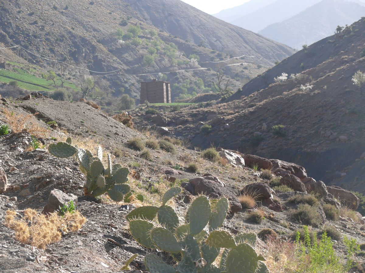 Route de Demnate à Ouarzazate - 11