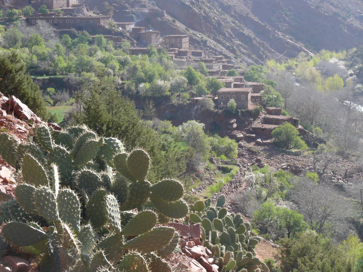 Route de Demnate à Ouarzazate - 15