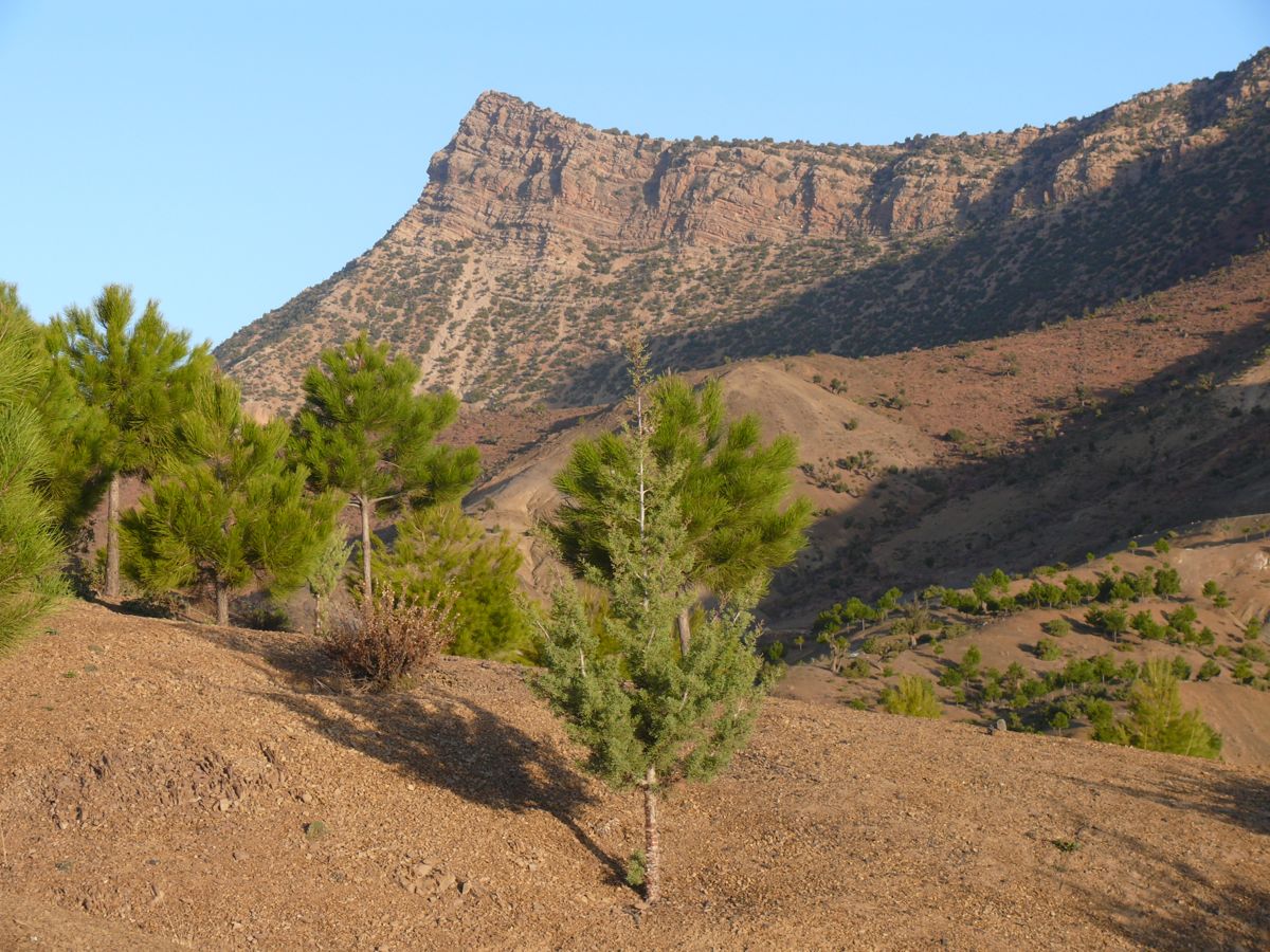 Route de Demnate à Ouarzazate - 09