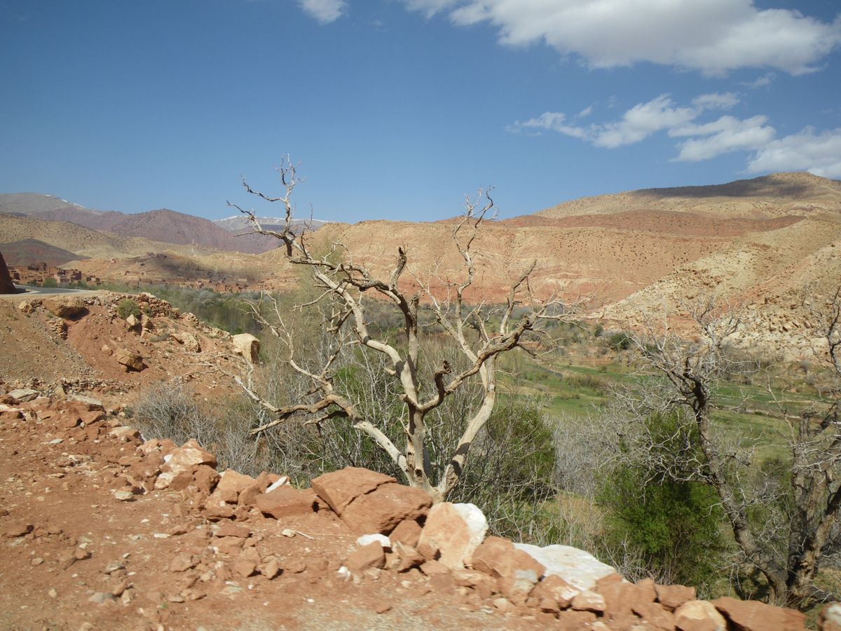 Route de Aït Benhaddou à Telouet - 43