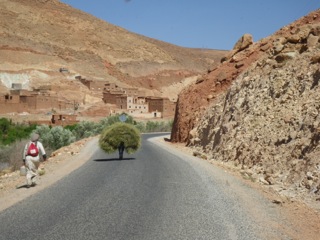 Route de Aït Benhaddou à Telouet - 16