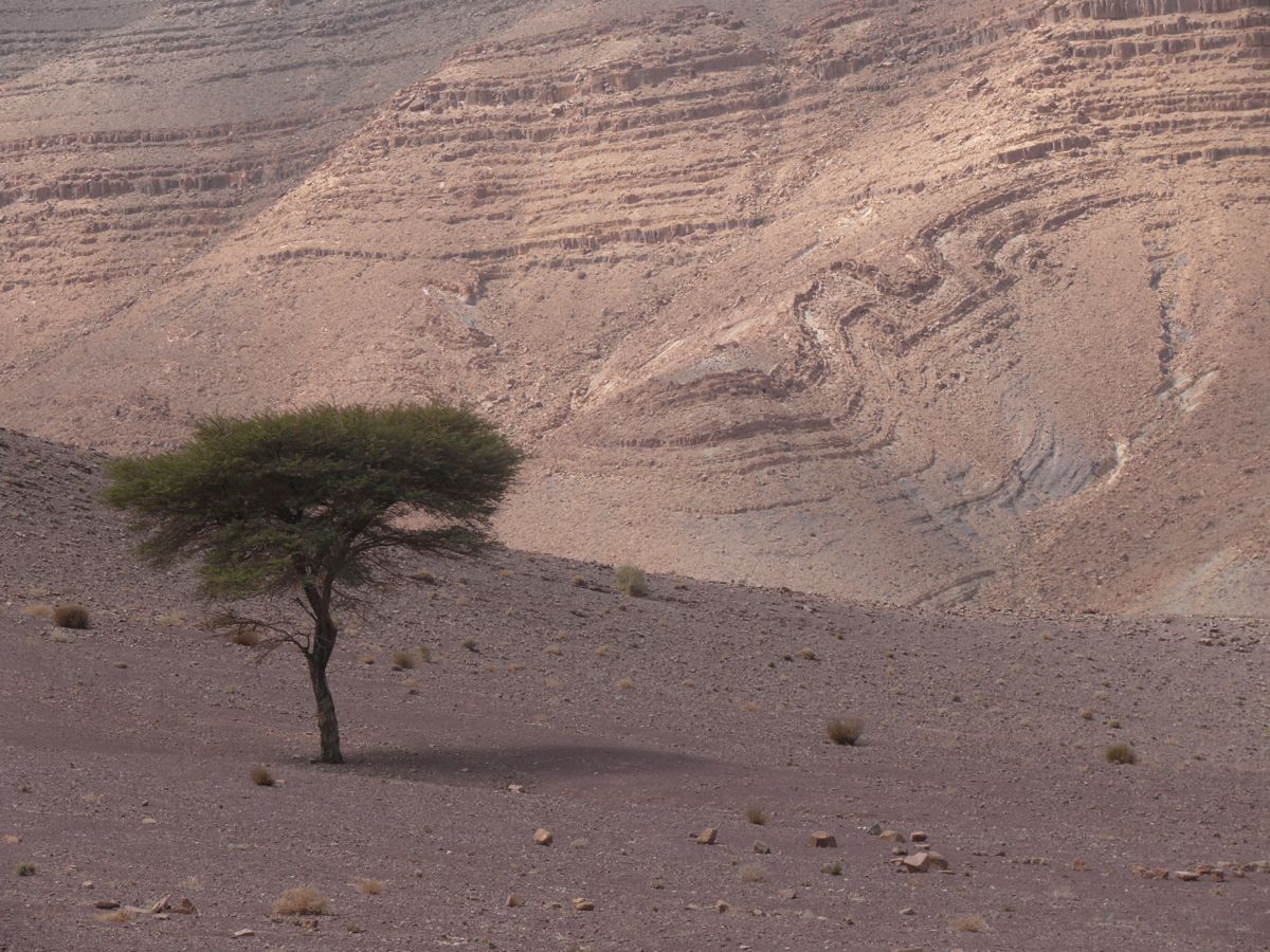 Route de Aït Benhaddou à Tata - 24