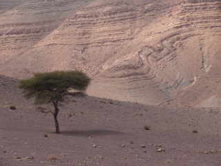 Route de Aït Benhaddou à Tata - 24
