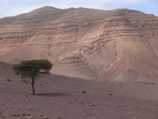 Route de Aït Benhaddou à Tata - 25