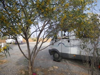 Icht - Guelmim - 17