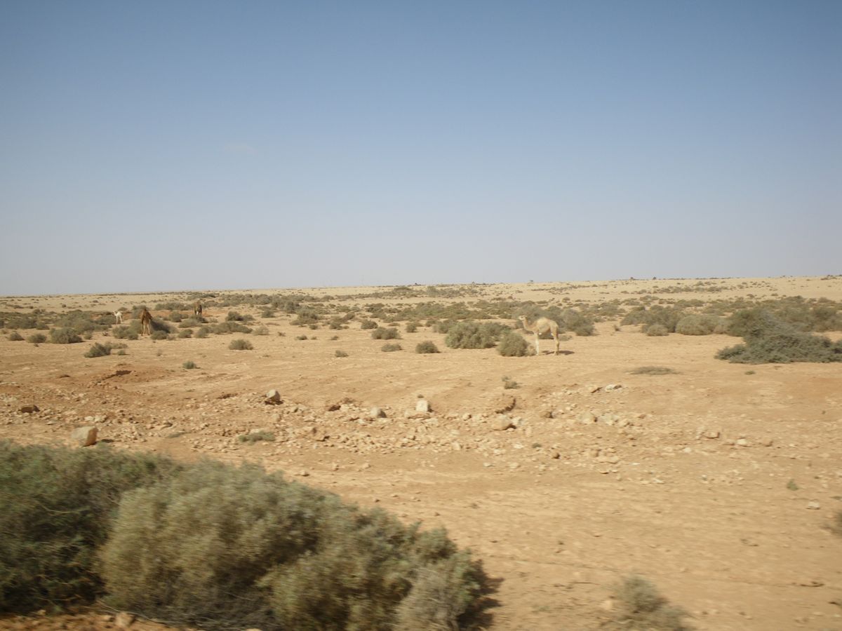 Smara - 06
