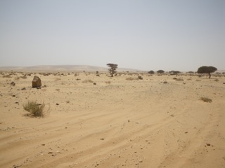 Smara - 13
