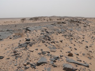 Smara - 39