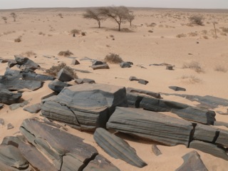 Smara - 57