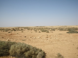 Smara - 06