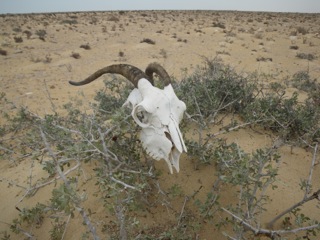 Lakraa - 03
