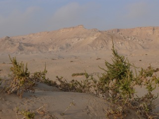 Lakraa - 30