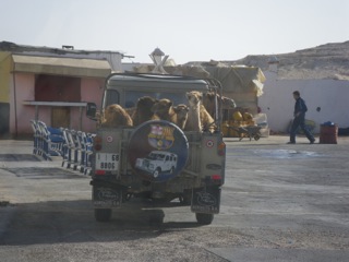 Dakhla - 01
