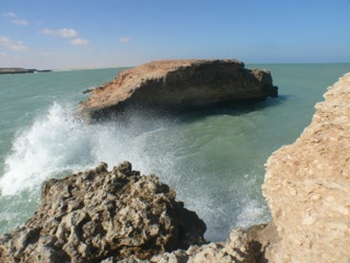 Barbas - 36
