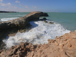 Barbas - 38