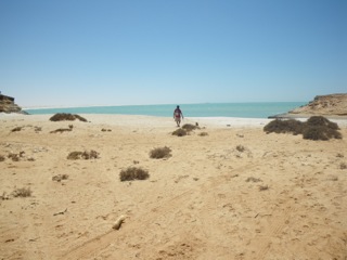 Barbas - 04