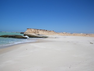 Barbas - 08