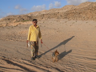 Al Argoub - 16