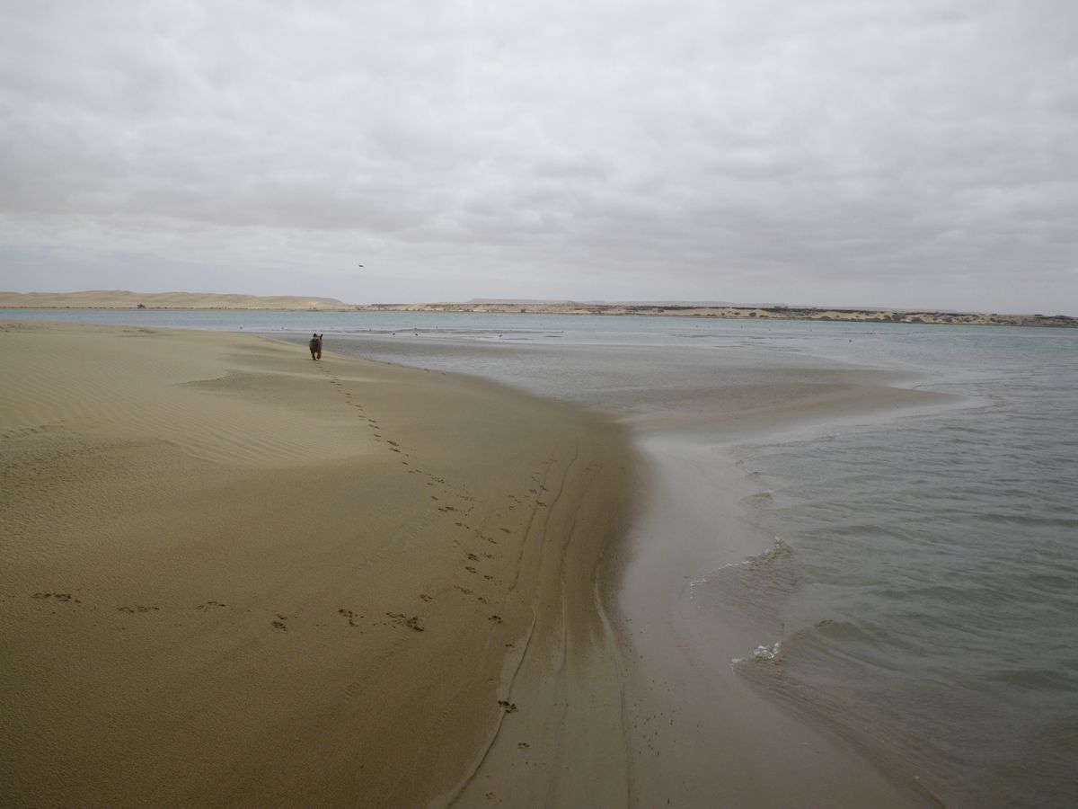 Lagune de Naïla - 52