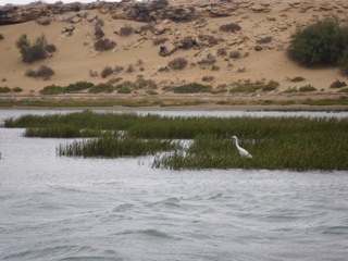Lagune de Naïla - 48