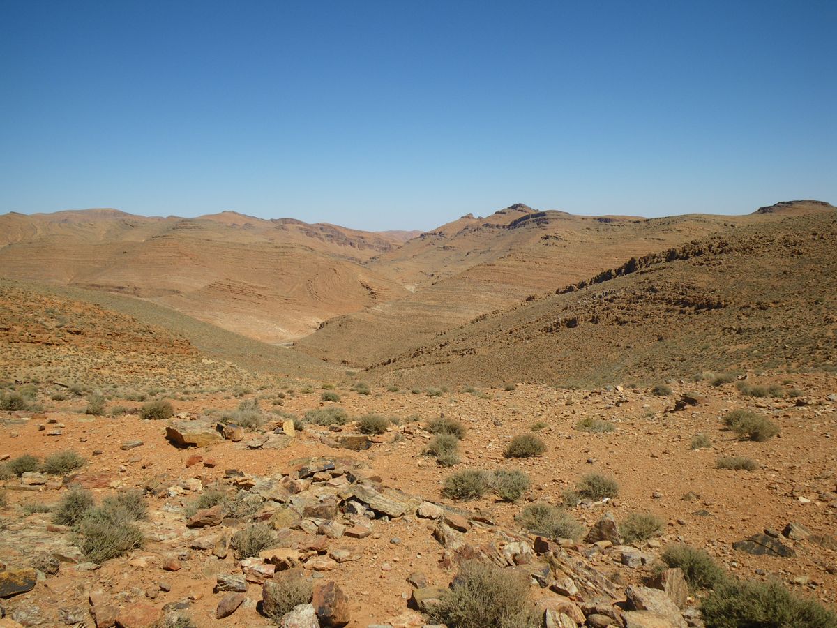 Route d'Izerbi - 10
