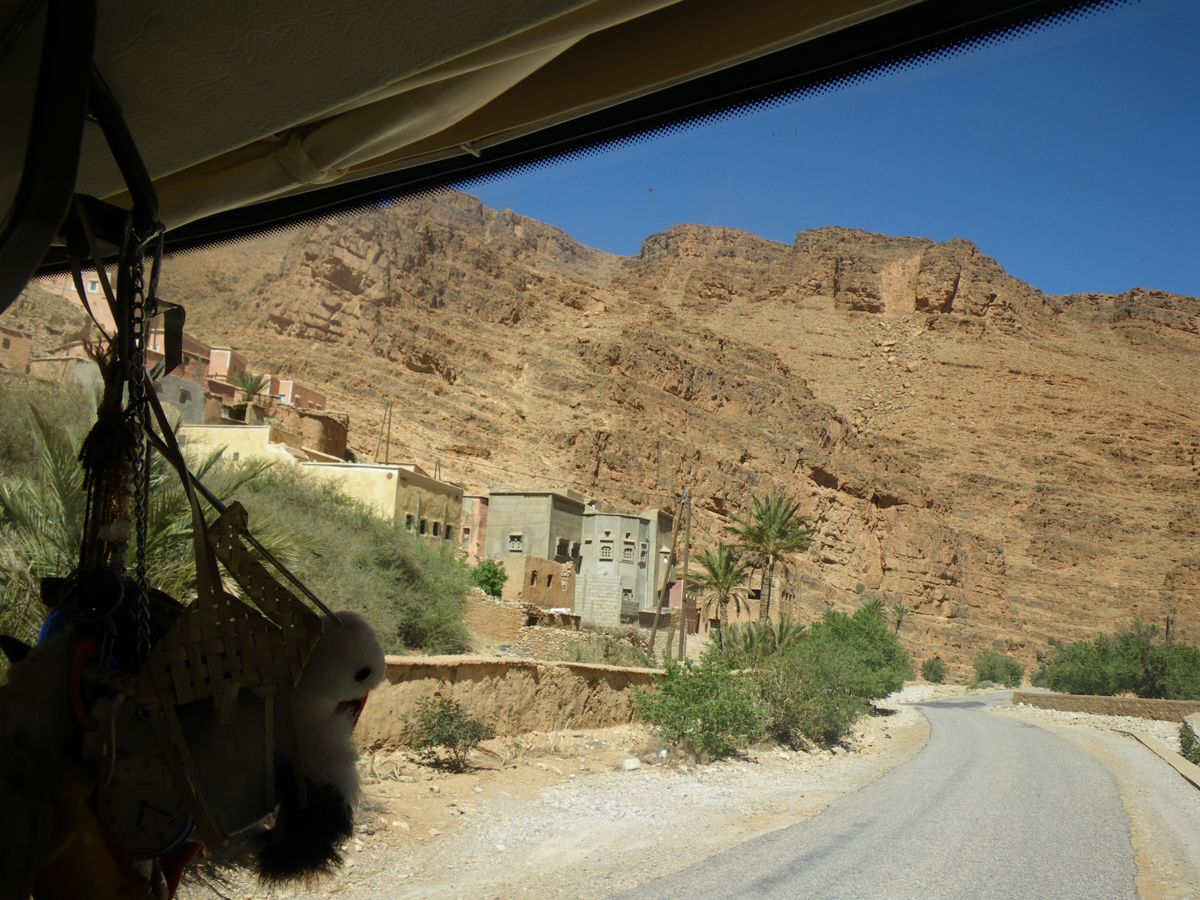 Route d'Izerbi - 15
