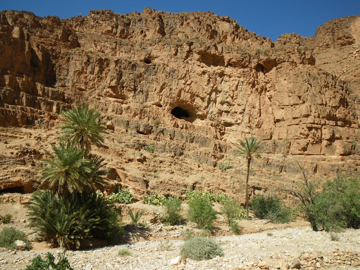 Route d'Izerbi - 18