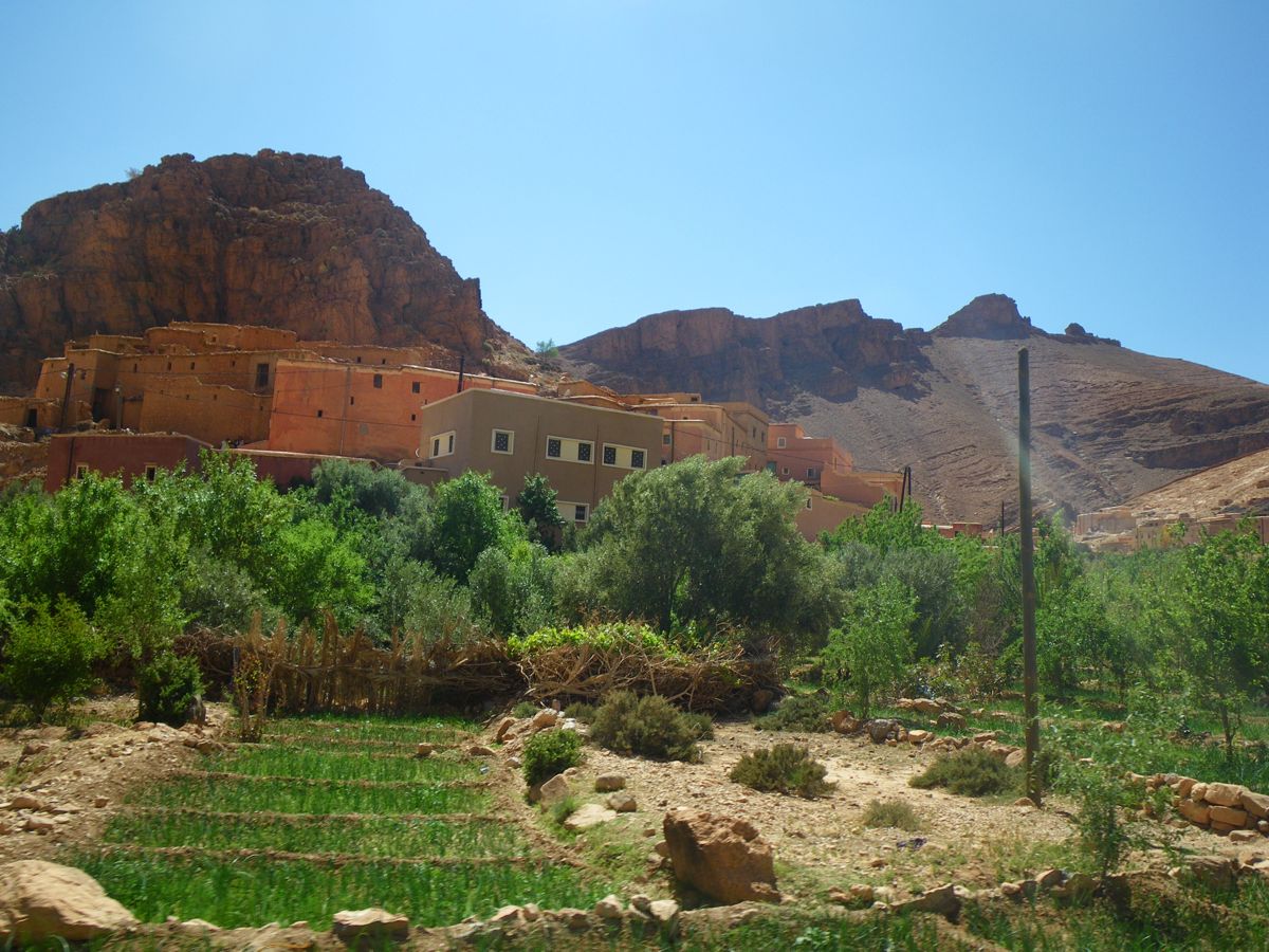 Route d'Izerbi - 21