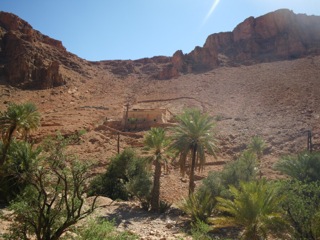 Route d'Izerbi - 19