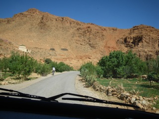 Route d'Izerbi - 20