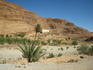 Route d'Izerbi - 24