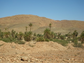 Route d'Izerbi - 35