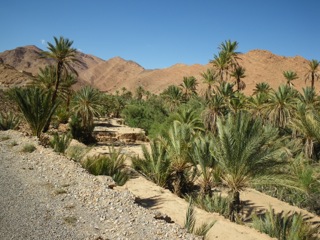 Route d'Izerbi - 47