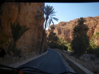 Route d'Izerbi - 54