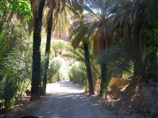 Route d'Izerbi - 55