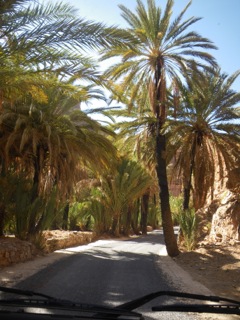 Route d'Izerbi - 56