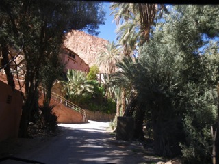 Route d'Izerbi - 57