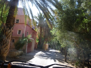 Route d'Izerbi - 58