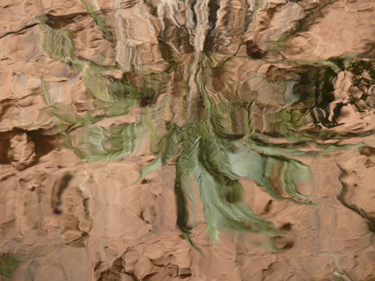 Aït Mansour - 14