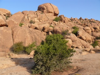 Tafraout - 12