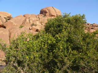 Tafraout - 13