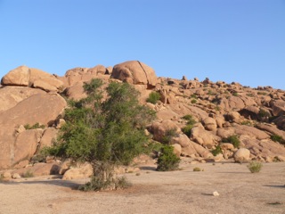 Tafraout - 09