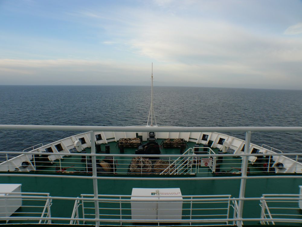 P1010041