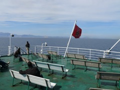 P1010027.JPG