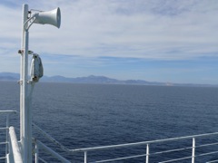 P1010028.JPG