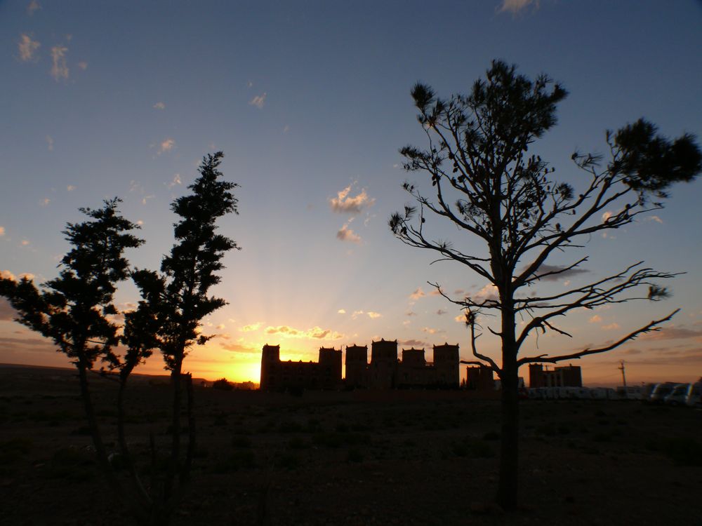 P1010092.JPG